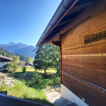Wildbach *